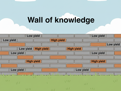 Wall of bricks with some labeled high-yield